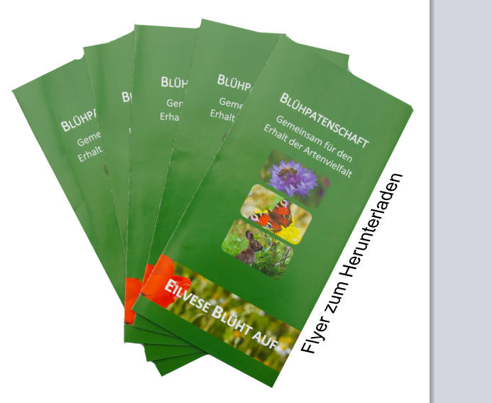 Flyer zum Herunterladen